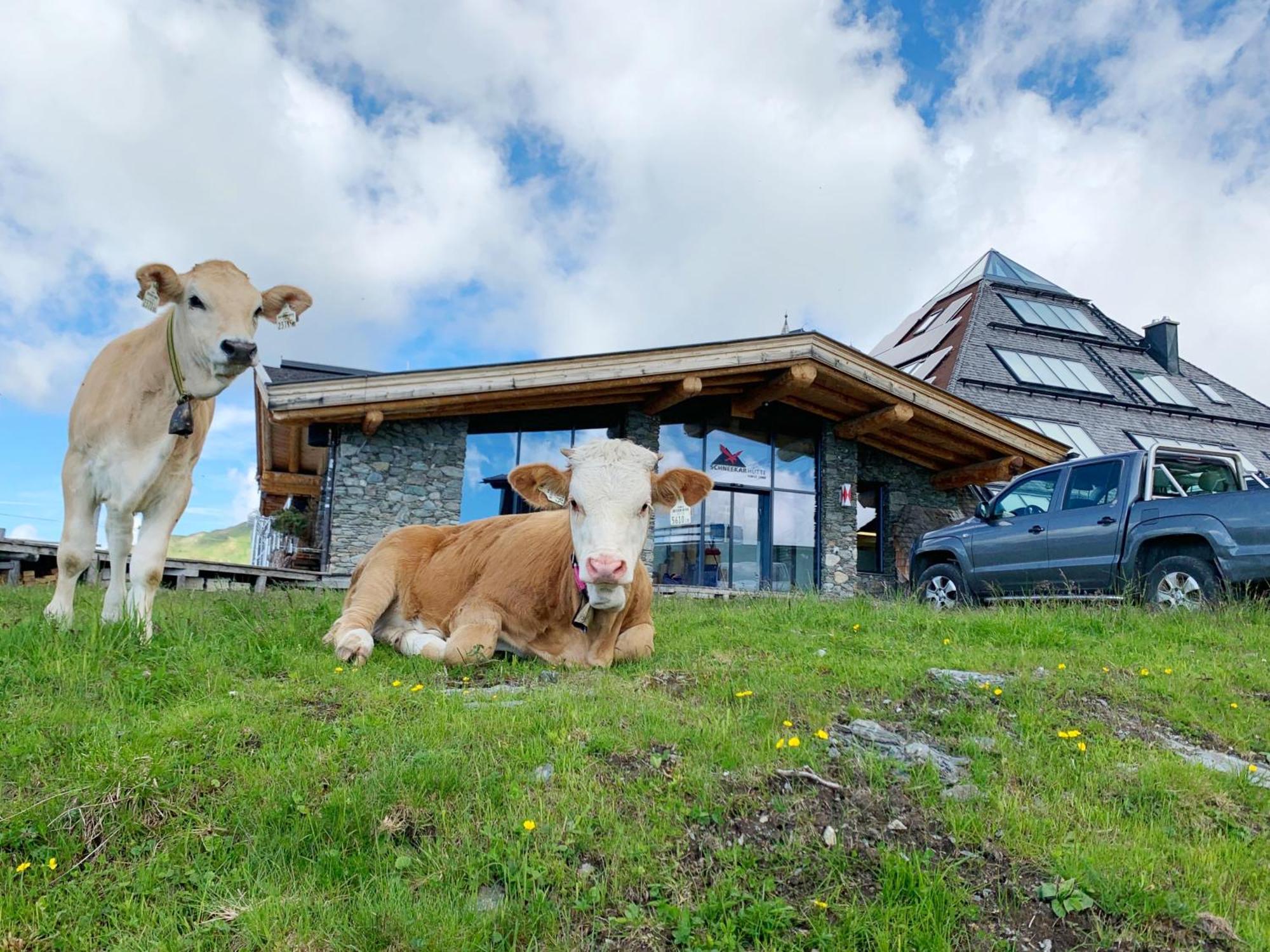 Schneekarhuette Hotel Mayrhofen Ngoại thất bức ảnh